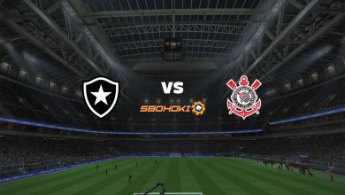 Live Streaming Botafogo vs Corinthians 27 Desember 2020 7