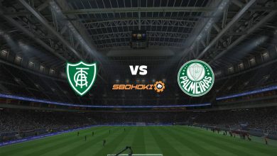 Live Streaming América-MG vs Palmeiras 31 Desember 2020 2