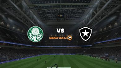 Live Streaming Palmeiras vs Botafogo 2 Februari 2021 7