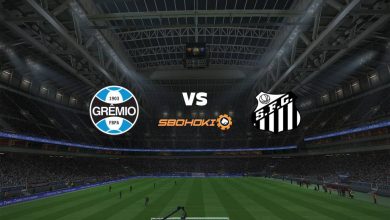 Live Streaming Grêmio vs Santos 23 Juni 2021 8