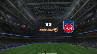 Live Streaming FC Ingolstadt 04 vs 1. FC Heidenheim 31 Juli 2021 7