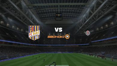 Live Streaming Dunajska Streda vs Partizan Belgrade 29 Juli 2021 6