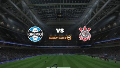 Live Streaming Grêmio vs Corinthians 29 Agustus 2021 10
