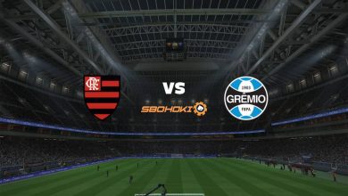 Live Streaming Flamengo vs Grêmio 19 September 2021 8