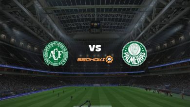 Live Streaming Chapecoense vs Palmeiras 18 September 2021 3