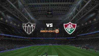 Live Streaming Atlético-MG vs Fluminense 15 September 2021 7