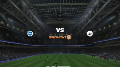 Live Streaming Brighton and Hove Albion vs Swansea City 22 September 2021 6